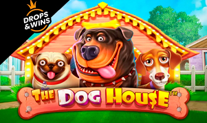 Juego Dog House